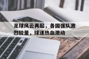 足球风云再起，各国强队激烈较量，球迷热血激动的简单介绍