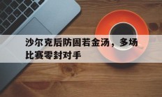 沙尔克后防固若金汤，多场比赛零封对手的简单介绍