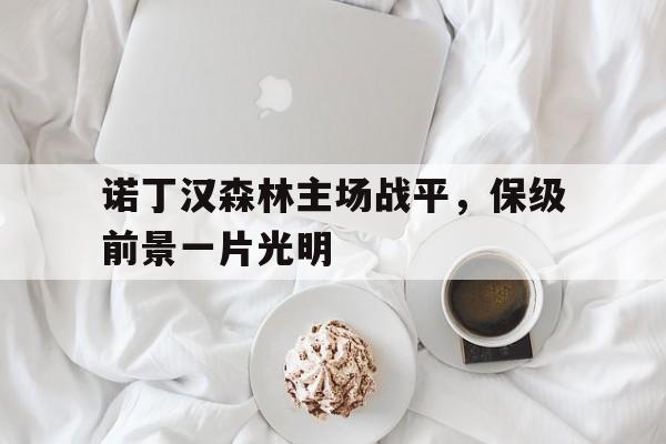 关于诺丁汉森林主场战平，保级前景一片光明的信息