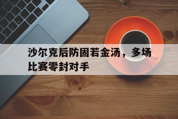 沙尔克后防固若金汤，多场比赛零封对手的简单介绍